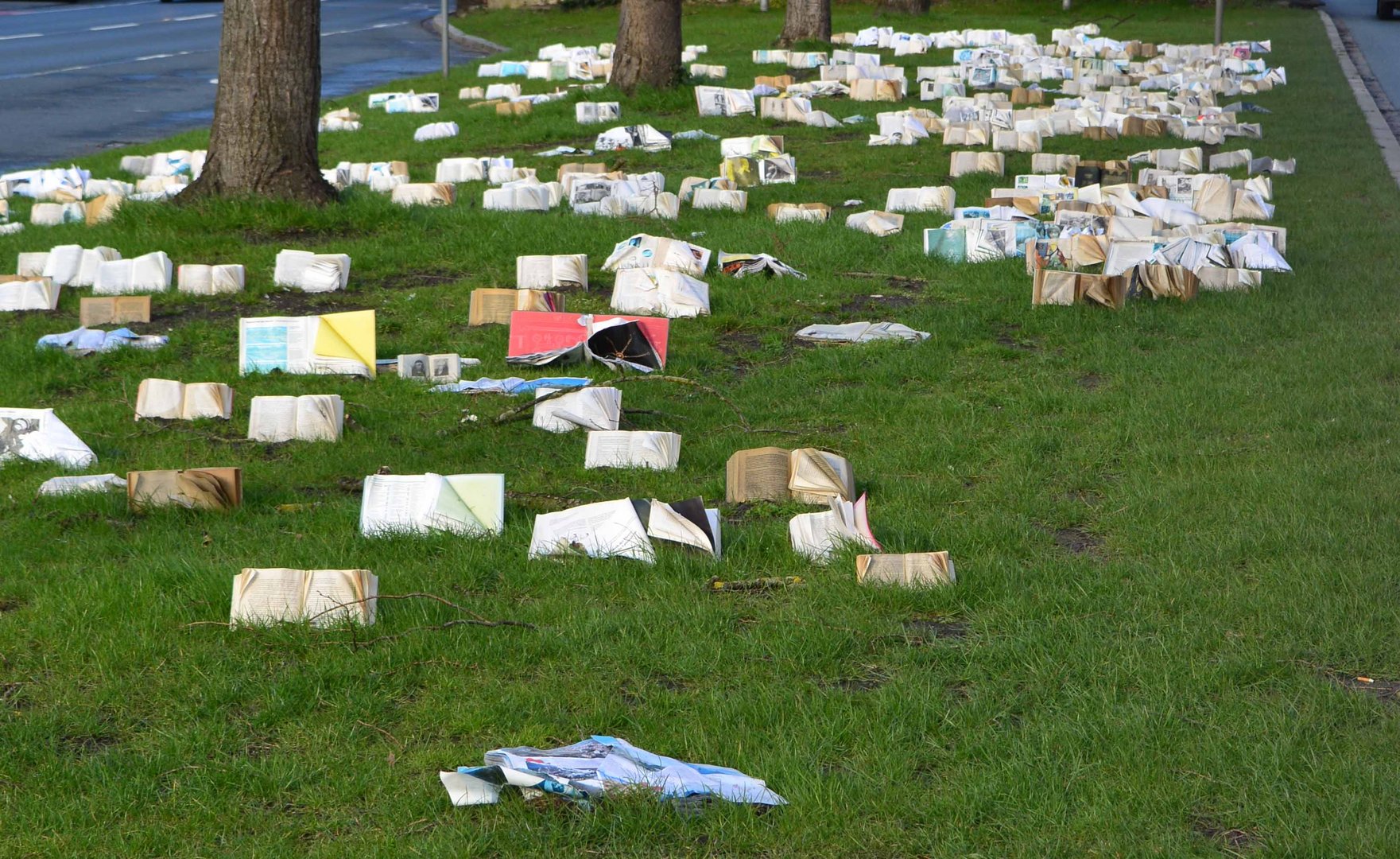 Literatur im Grünen