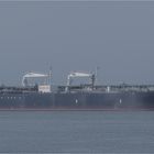 LITEYNY PROSPECT Crude Oel Tanker, Rotterdam.