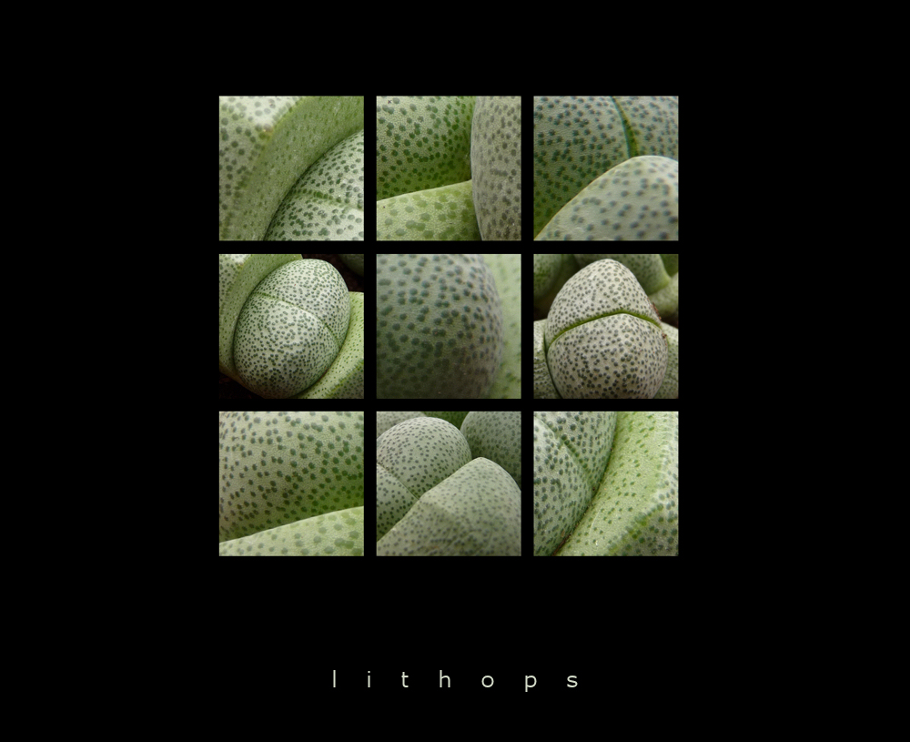 . lithops .