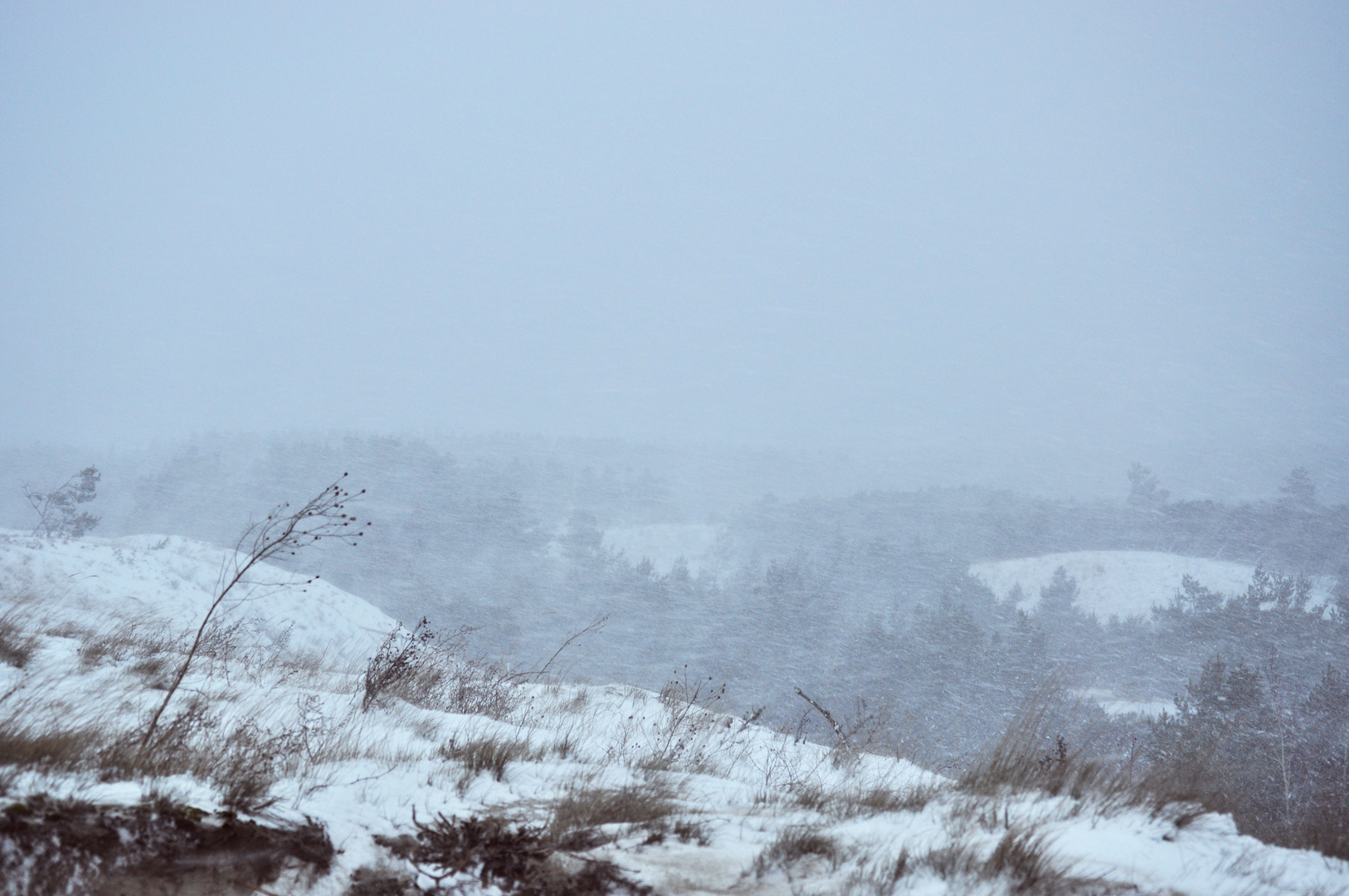 Lithuanian Winter