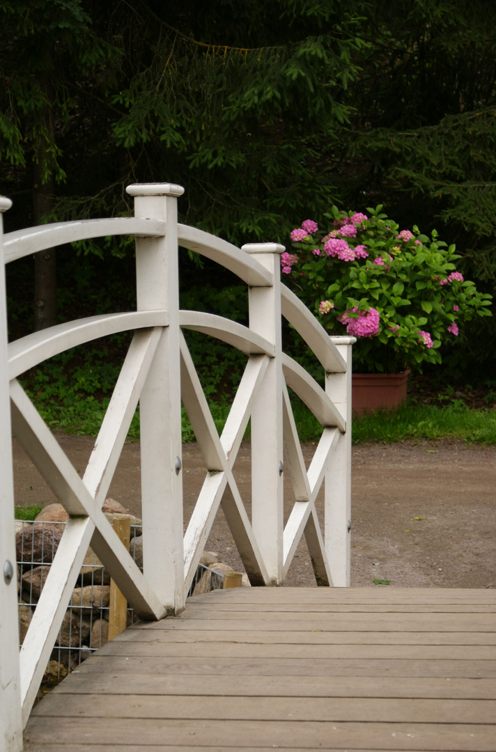 Litle bridge in Tartu botanical garden