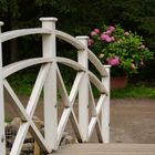 Litle bridge in Tartu botanical garden