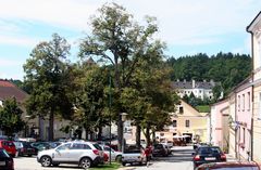 Litschau im Waldviertel (nach dem Pfarrfrühschoppen)