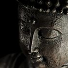 littel budda in the dark