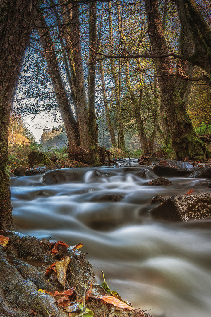 Litterbach bei Gründau