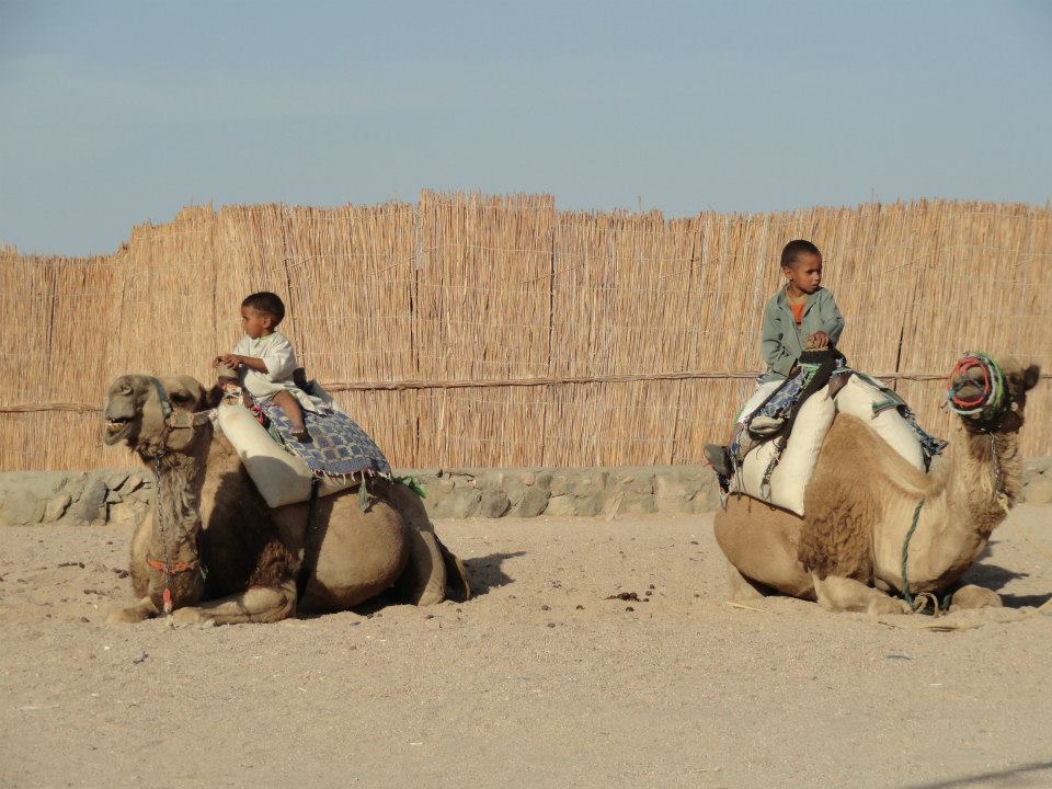 little bedouin