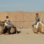 little bedouin