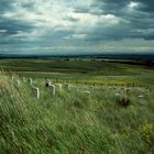 Little Bighorn Battlefield National Monument, MT - 1993 (1)