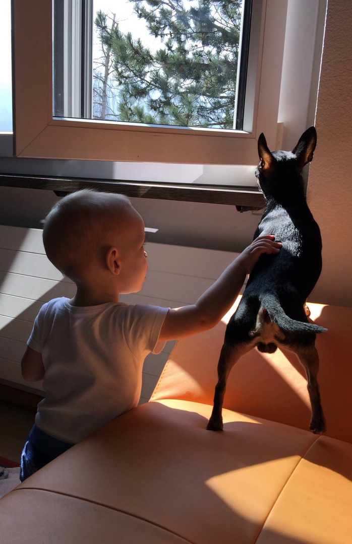 Little boy with puppy