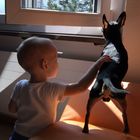 Little boy with puppy