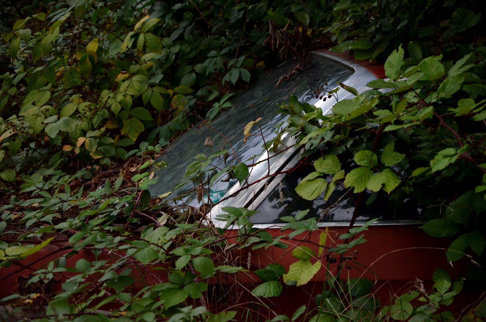 Little Briar Car -- Audi NSU Ro-80 in Rubus