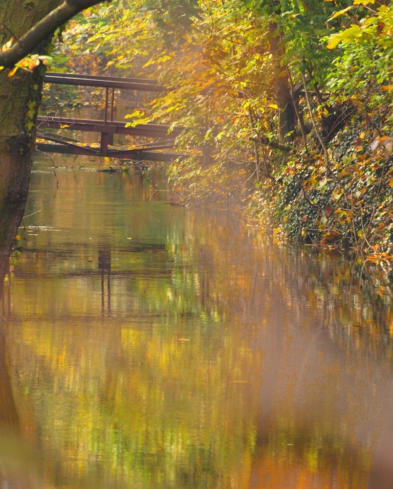 Little Bridge at Salinental