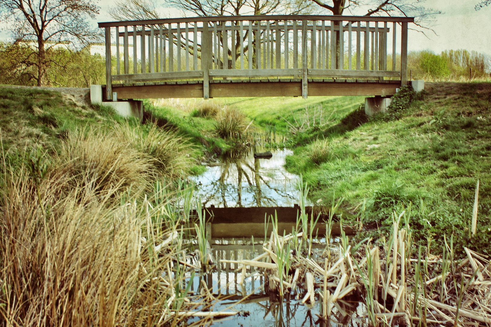 Little Bridge