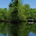 Little bridge over the lake