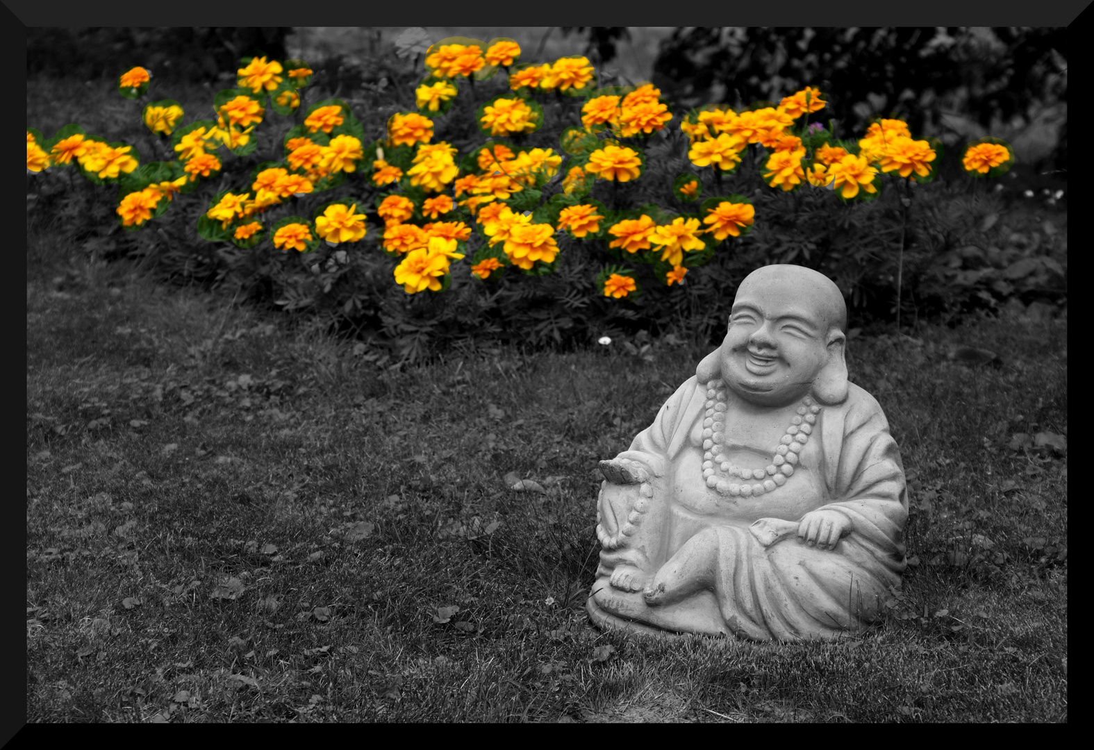 *** Little Buddha ***