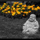 *** Little Buddha ***