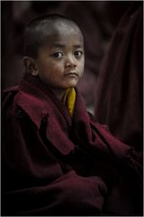 little Buddha
