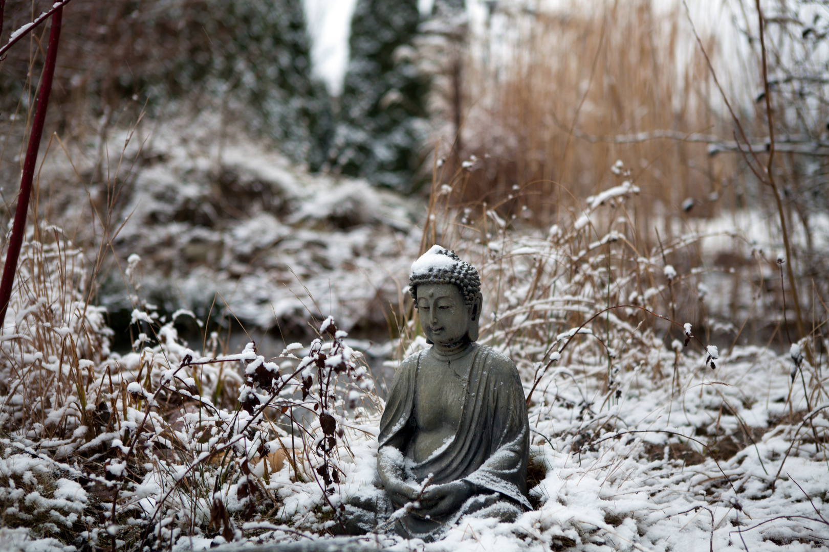 Little  Buddha im Winter