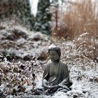 Little  Buddha im Winter