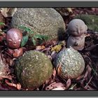 Little Buddha in einem Wald um Nara/Japan