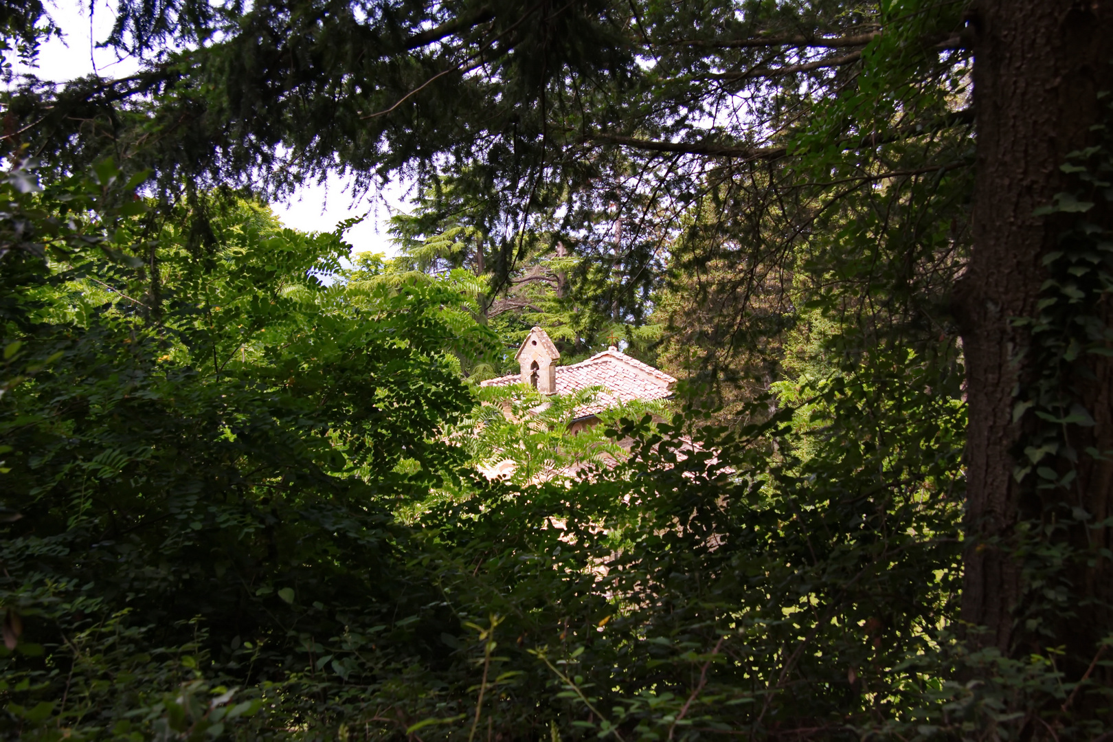 Little church in woods