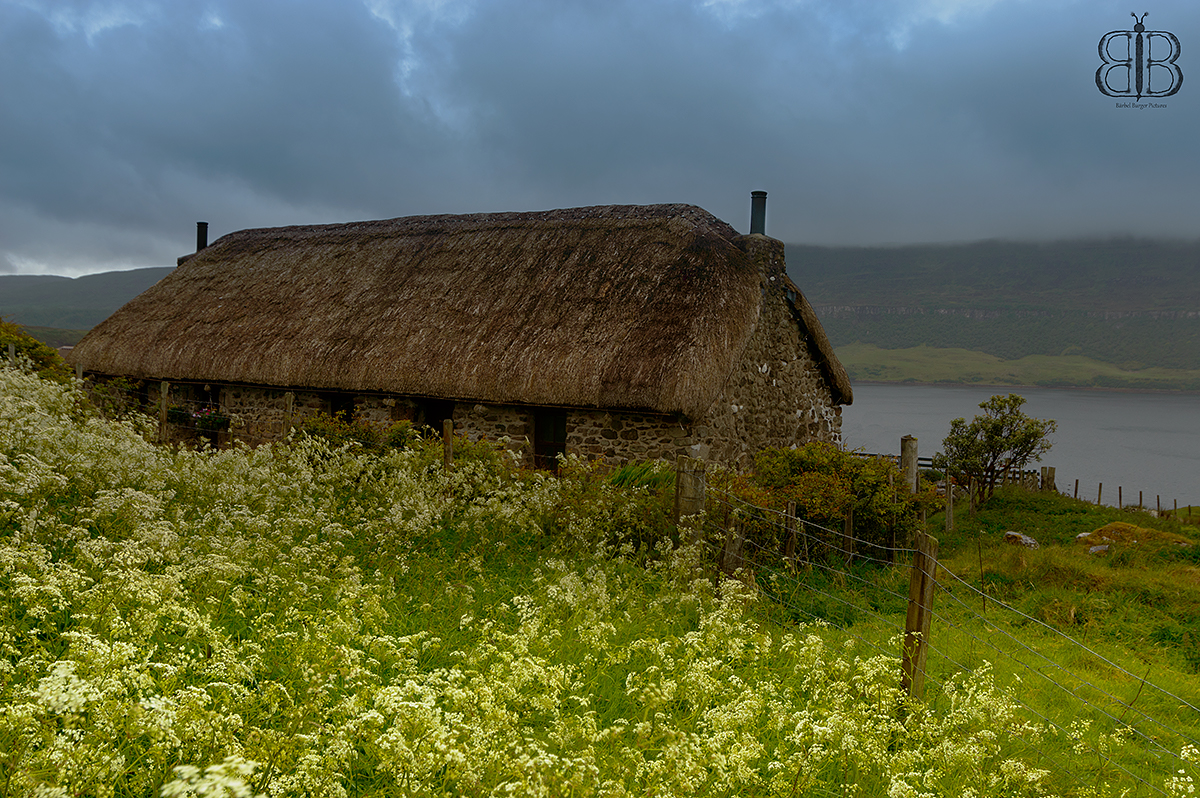 Little Cottage