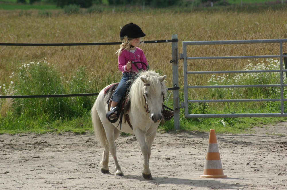 Little Cowgirl