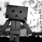 Little Danbo :)