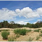 Little desert in Herpen-Netherlands