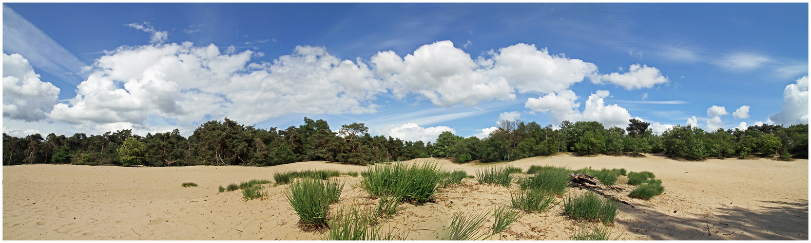 Little desert in Herpen-Netherlands