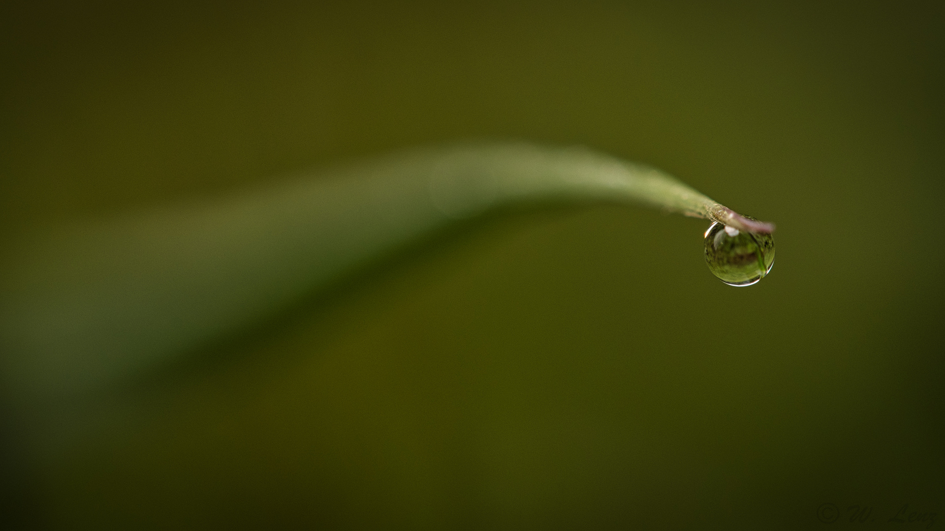 little drop of water