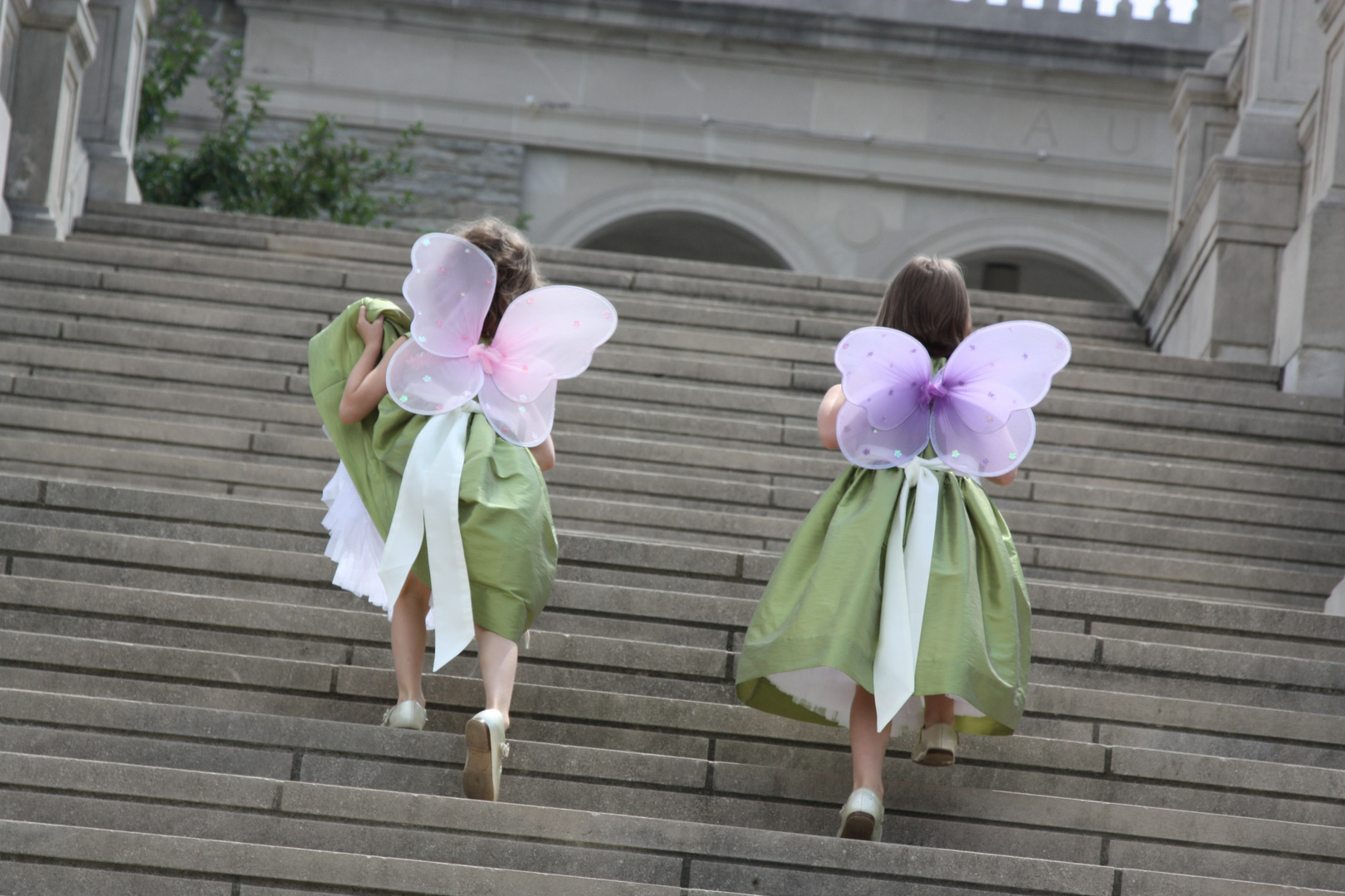 Little Fairies