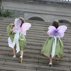 Little Fairies