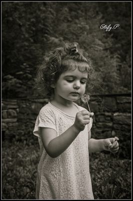 Little fairy of dandelions (reloaded)