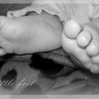 Little Feet