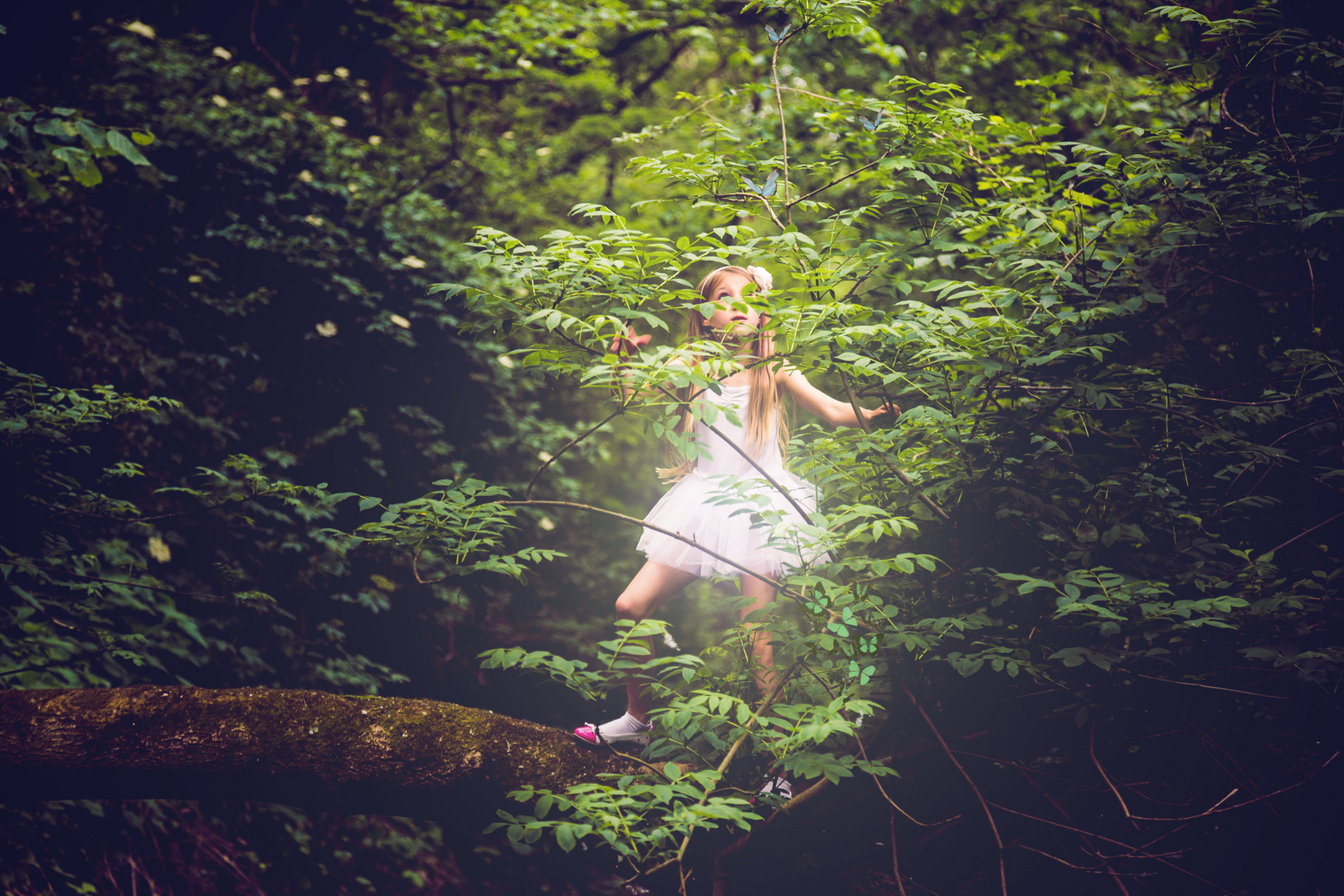 little Forest Ballerina