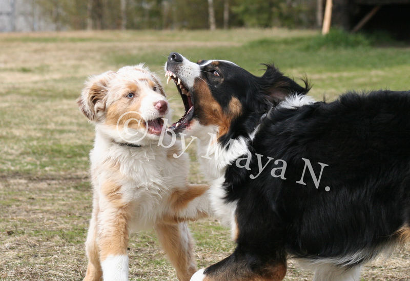 Little Fröja is playing with her "big sister" Winna.