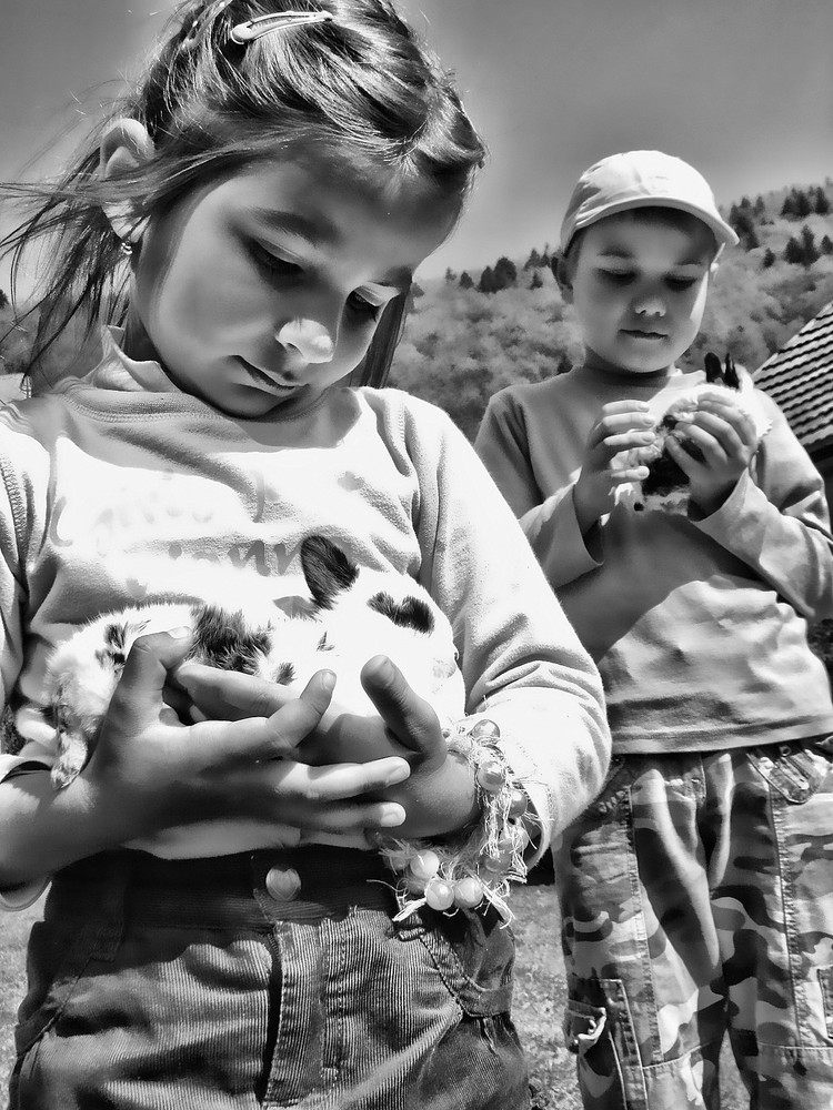 ...little girl and little boy with small rabbits...