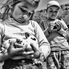...little girl and little boy with small rabbits...