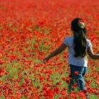 Little Girl in a Poppies Field