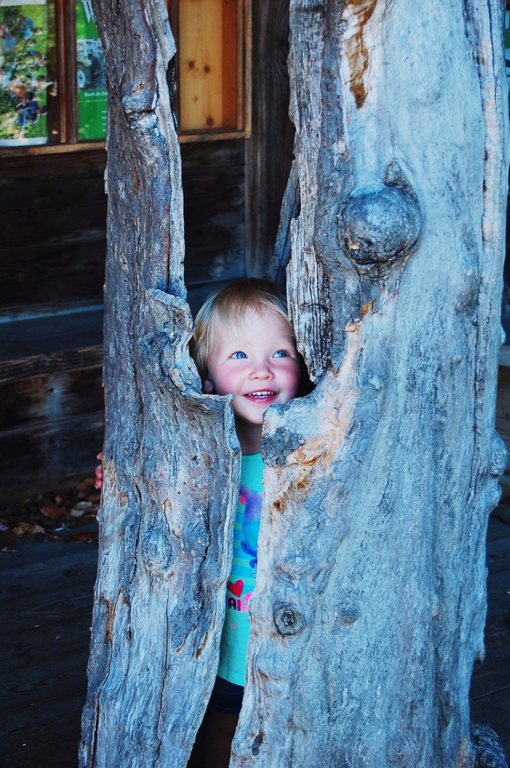 Little Girl in the hollow tree 