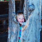 Little Girl in the hollow tree 