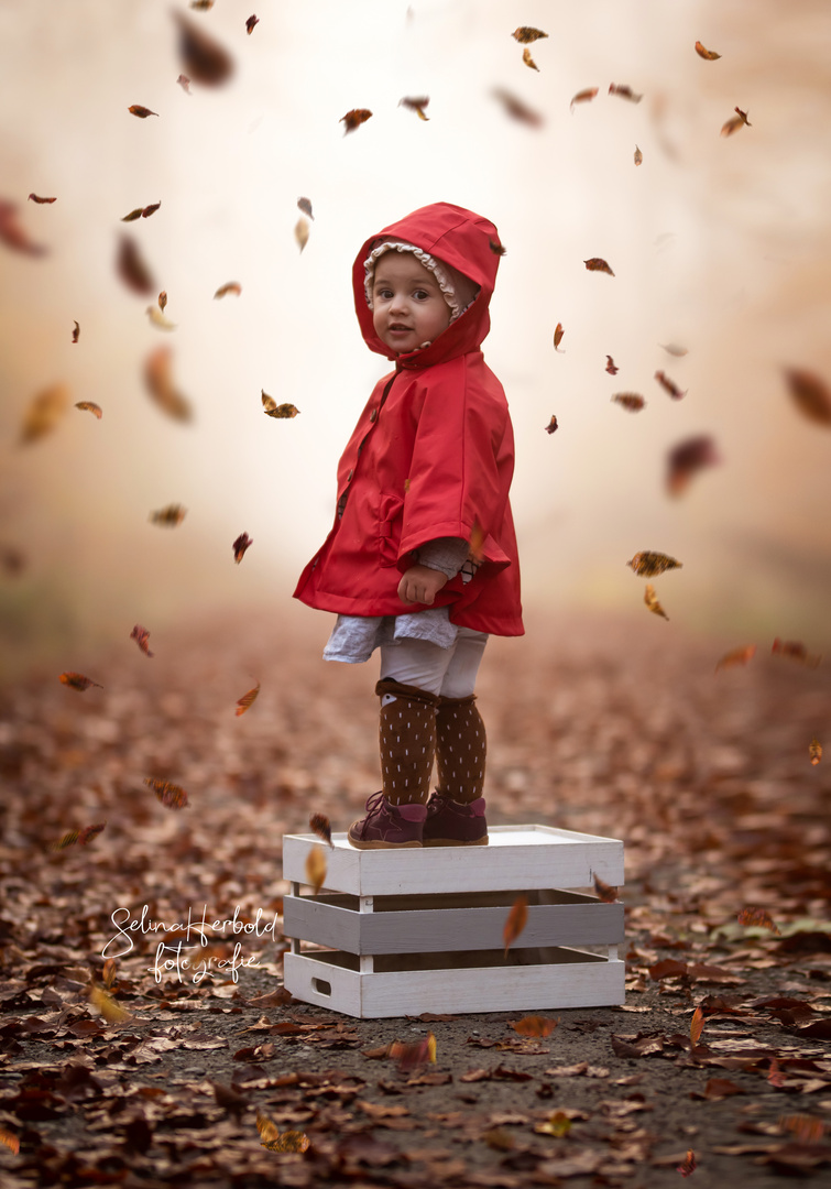 Little Girl in the Wood.