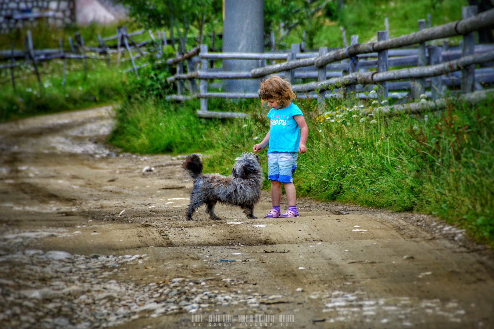 Little Girl with Dog in Transylvania