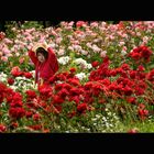 Little girl with roses