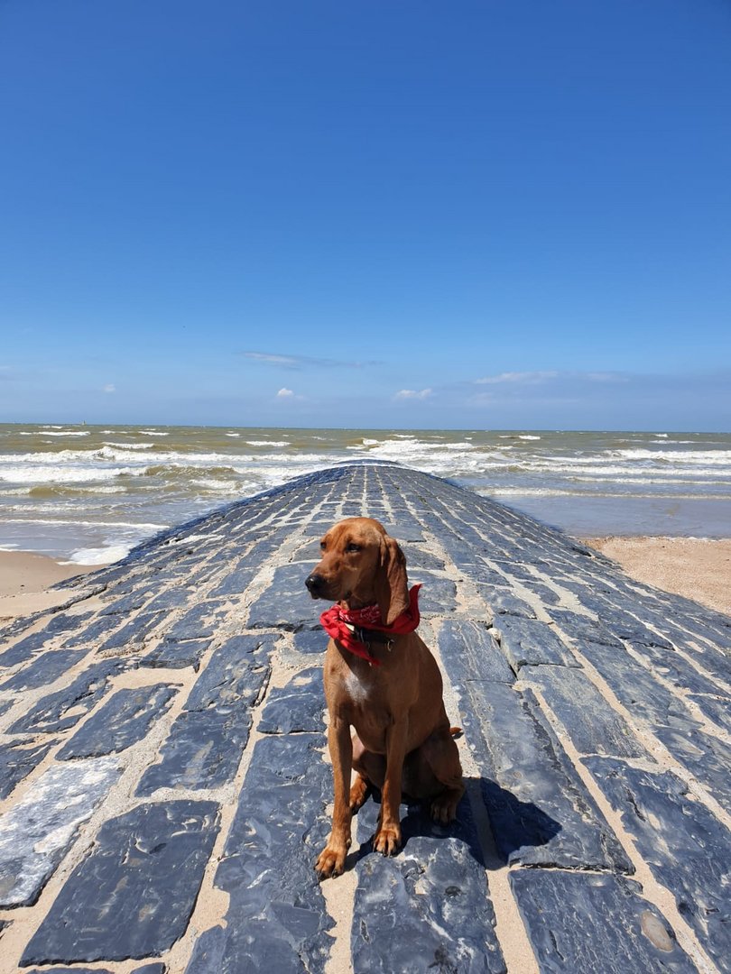 Little Greek at the seaside 