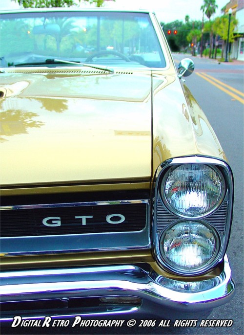 "Little GTO" (Topless)