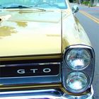 "Little GTO" (Topless)