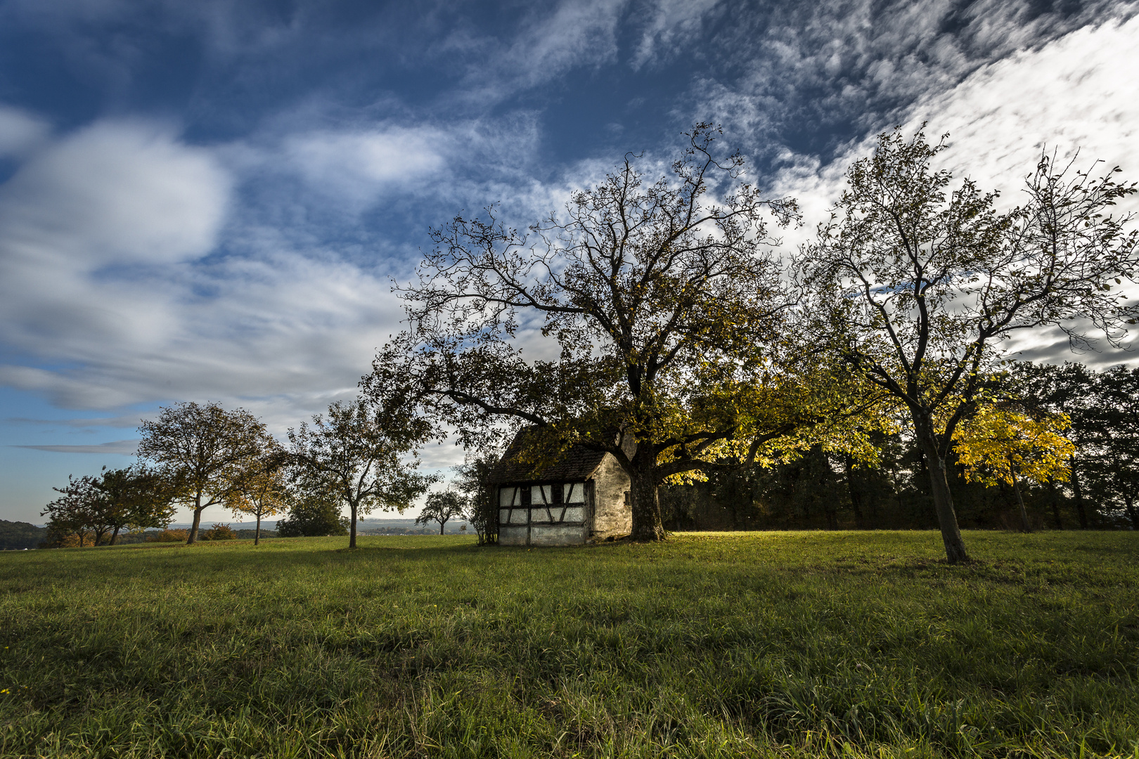 Little house