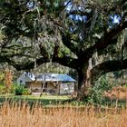 Little House at Mepkin Abbey Garden near Moncks Corner